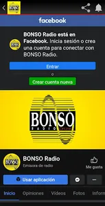 BONSO Radio screenshot 6