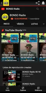 BONSO Radio screenshot 7