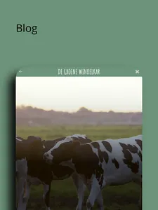 De Groene Winkelkar screenshot 10