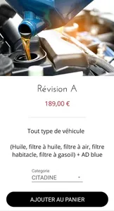 Free Auto Flotte screenshot 13