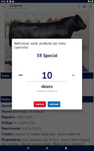 Alta Brasil screenshot 13