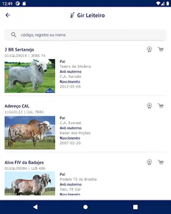 Alta Brasil screenshot 7