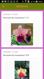 ORQUIDÁRIO FERNANDO screenshot 3
