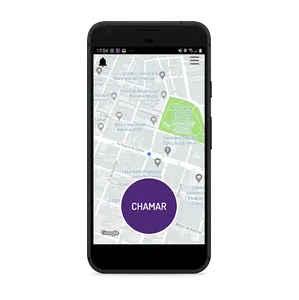 Female Passageiro screenshot 0