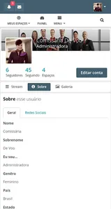 Comissária de Voo screenshot 1