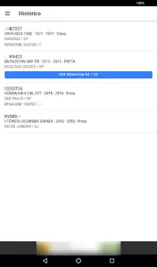 Consulta RENAVAM SP screenshot 2
