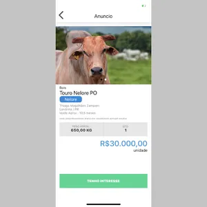 MinotauroApp screenshot 4