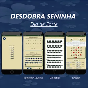 DesdobraSeninha screenshot 19