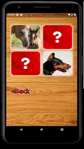 Memory Game - Domestic and Wil screenshot 1