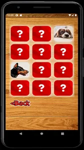 Memory Game - Domestic and Wil screenshot 3