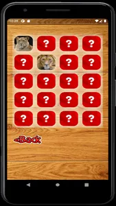 Memory Game - Domestic and Wil screenshot 4