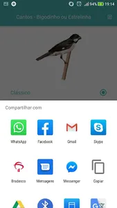 Cantos do Pássaro Bigodinho screenshot 2