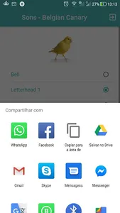 Sons Belgian Canary - Letterhe screenshot 2