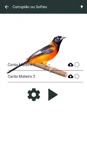 Cantos de Pássaros do Brasil screenshot 1