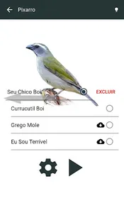 Cantos de Pássaros do Brasil screenshot 2
