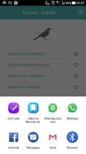 Cantos de Sabiá - Laranjeira screenshot 2
