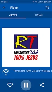 Tamandaré Web screenshot 0