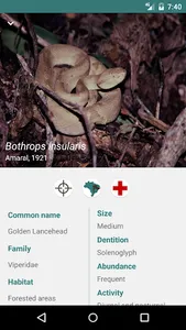 Snakes of Atlantic Forest screenshot 1