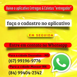 Entregas e Coletas  Entregador screenshot 3