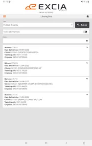 EXCIA Gestão screenshot 14