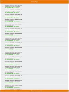 Duplique Executive Cobranças screenshot 19