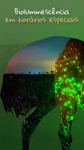 BoRa Parque Nacional das Emas screenshot 2