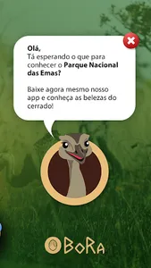 BoRa Parque Nacional das Emas screenshot 5