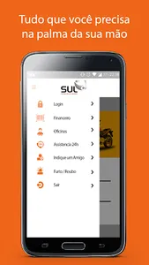 Sul Proteção Veicular e Benefí screenshot 1
