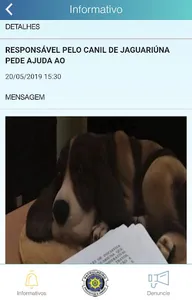 Jaguariúna Maus Tratos Animais screenshot 2