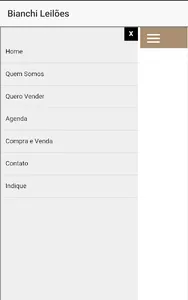 Bianchi Leilões screenshot 2