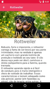 Raças de cachorro screenshot 2