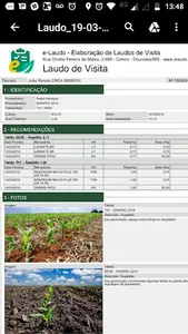 e-Laudo screenshot 5