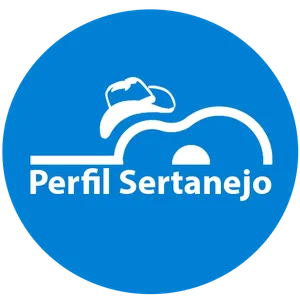 Perfil Sertanejo screenshot 8