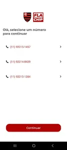 FlaChip screenshot 2