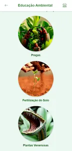 Troca de semente screenshot 3