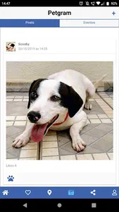 Adotte screenshot 3