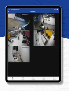 Sinse Segurança Eletrônica screenshot 9
