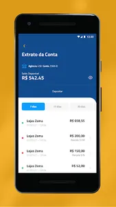 Zema Financeira screenshot 2