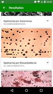 DocFish screenshot 1