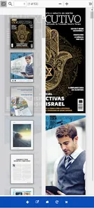 GV-executivo screenshot 0