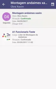 3+ Inteligência em Andaimes screenshot 3