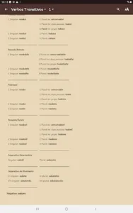 Conjugação de Verbos Wai Wai screenshot 12