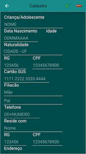 SisCT - Conselho Tutelar screenshot 12