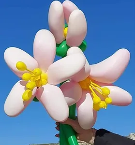 Balloonart Video screenshot 5