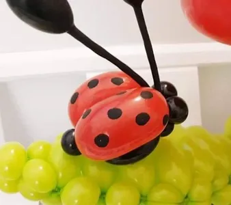 Balloonart Video screenshot 6