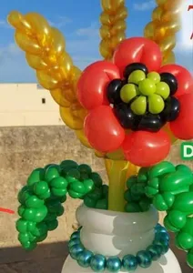 Balloonart Video screenshot 7