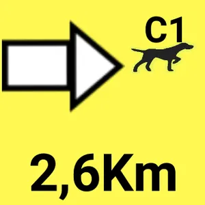 BSP WiFi screenshot 2