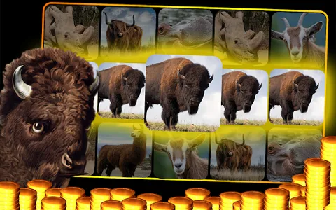 Buffalo Slot Machine : Casino  screenshot 4