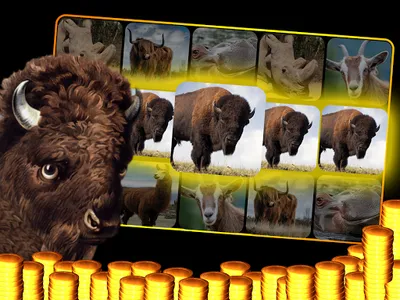 Buffalo Slot Machine : Casino  screenshot 8