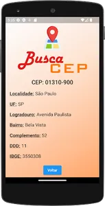 Busca Cep screenshot 0